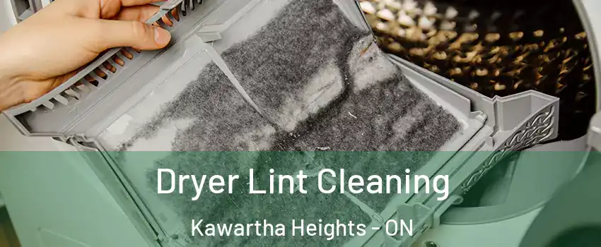 Dryer Lint Cleaning Kawartha Heights - ON