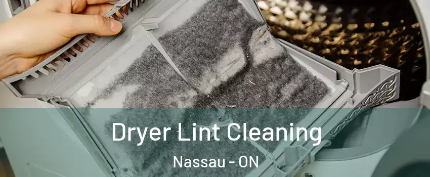  Dryer Lint Cleaning Nassau - ON