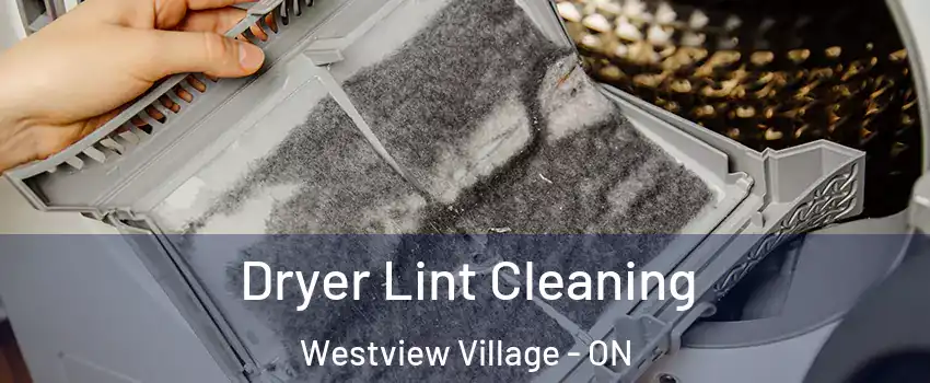  Dryer Lint Cleaning Westview Village - ON