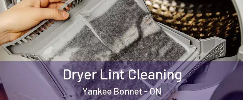  Dryer Lint Cleaning Yankee Bonnet - ON