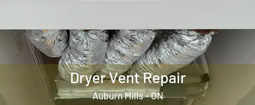 Dryer Vent Repair Auburn Mills - ON
