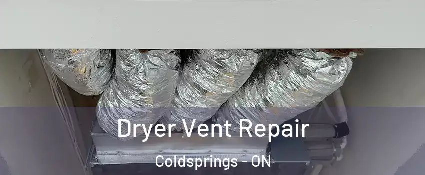 Dryer Vent Repair Coldsprings - ON