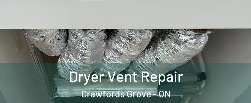 Dryer Vent Repair Crawfords Grove - ON