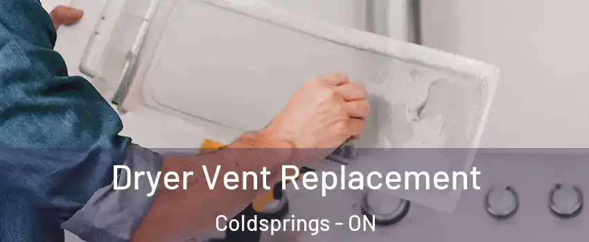  Dryer Vent Replacement Coldsprings - ON