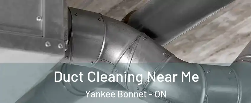 Duct Cleaning Near Me Yankee Bonnet - ON