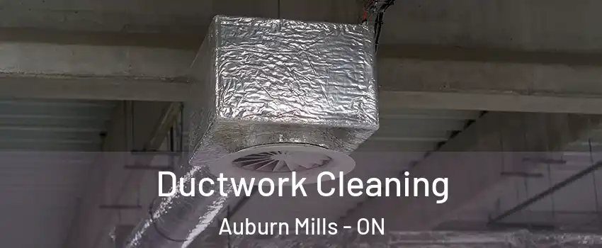  Ductwork Cleaning Auburn Mills - ON