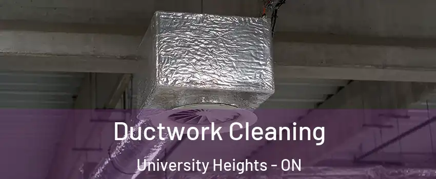 Ductwork Cleaning University Heights - ON