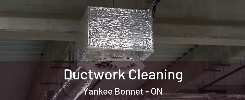  Ductwork Cleaning Yankee Bonnet - ON