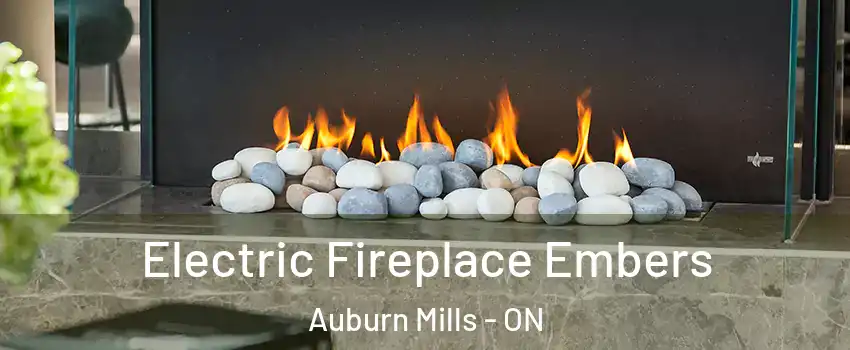  Electric Fireplace Embers Auburn Mills - ON