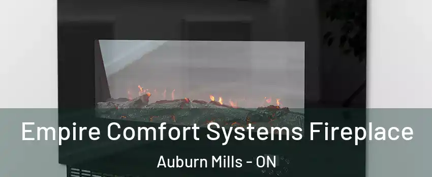  Empire Comfort Systems Fireplace Auburn Mills - ON