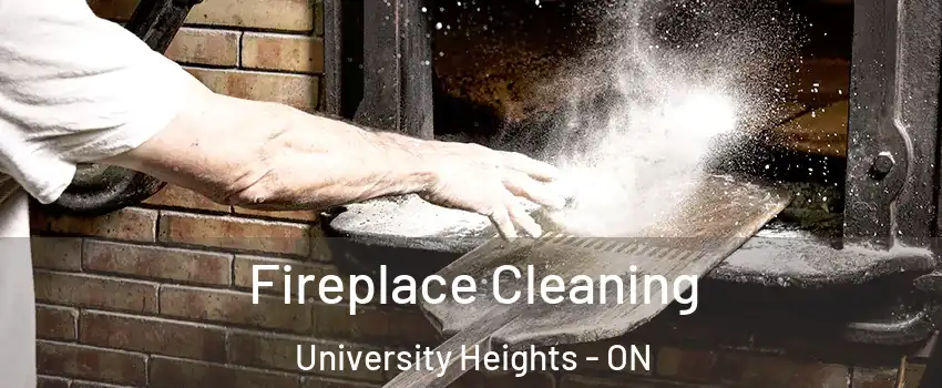 Fireplace Cleaning University Heights - ON