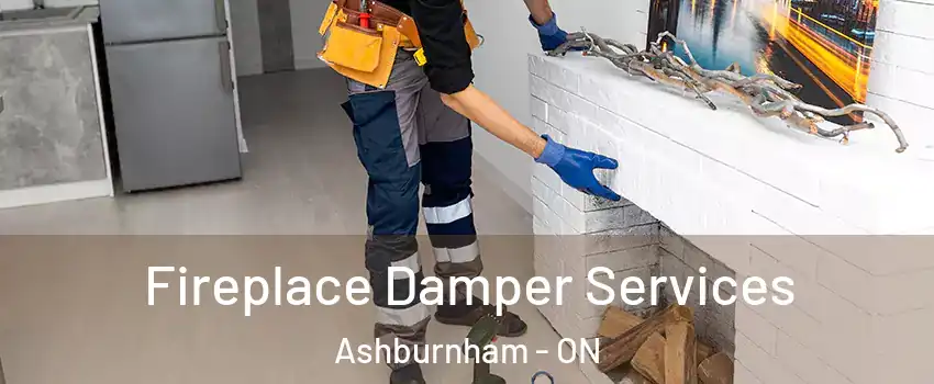 Fireplace Damper Services Ashburnham - ON