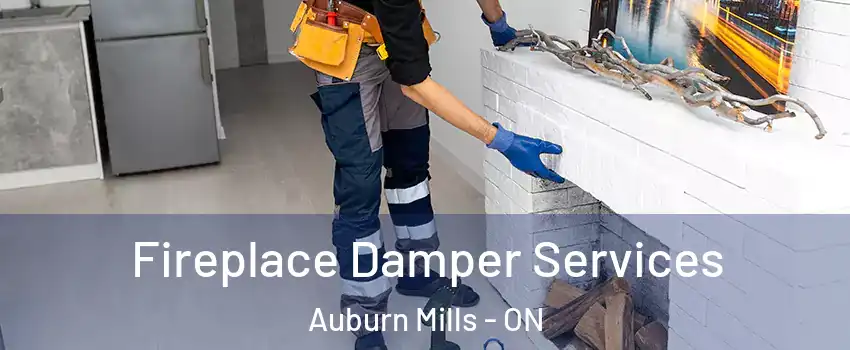 Fireplace Damper Services Auburn Mills - ON