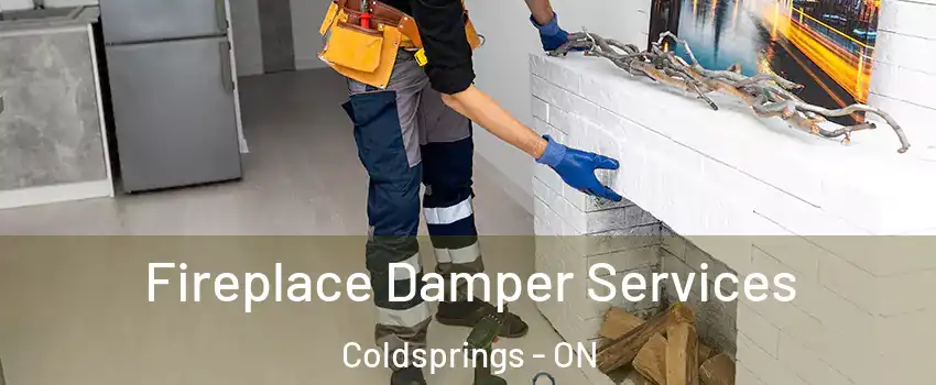  Fireplace Damper Services Coldsprings - ON