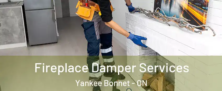 Fireplace Damper Services Yankee Bonnet - ON