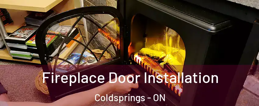 Fireplace Door Installation Coldsprings - ON