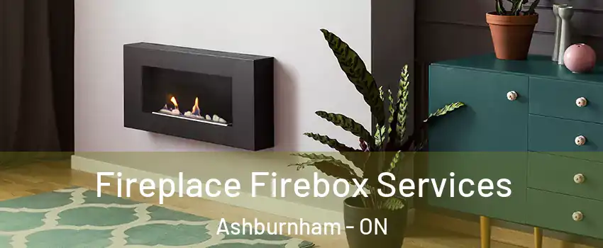  Fireplace Firebox Services Ashburnham - ON