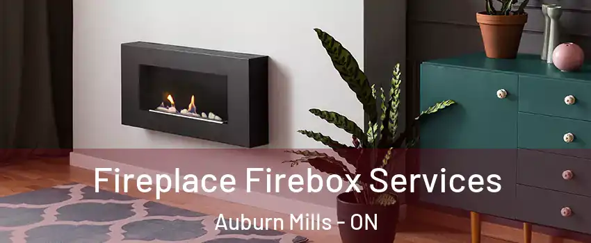  Fireplace Firebox Services Auburn Mills - ON