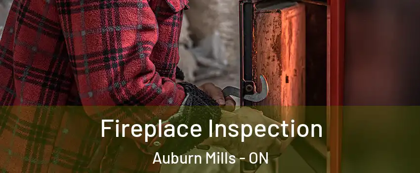  Fireplace Inspection Auburn Mills - ON