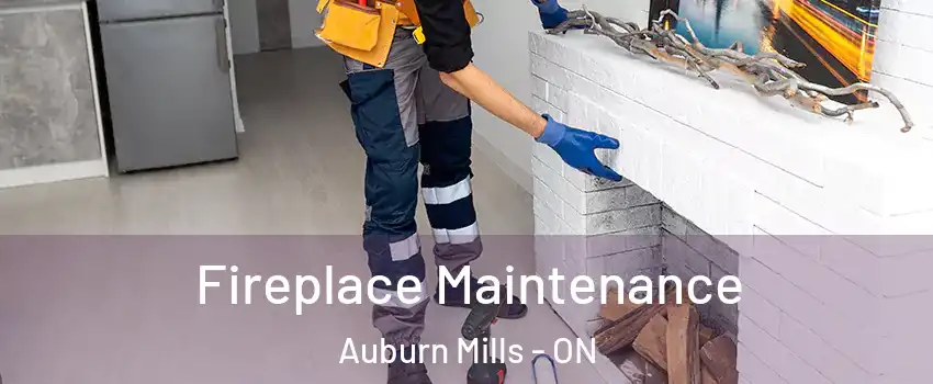 Fireplace Maintenance Auburn Mills - ON