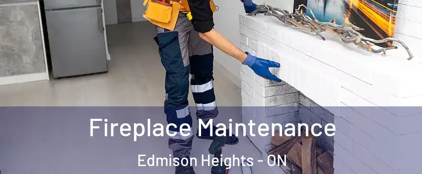  Fireplace Maintenance Edmison Heights - ON