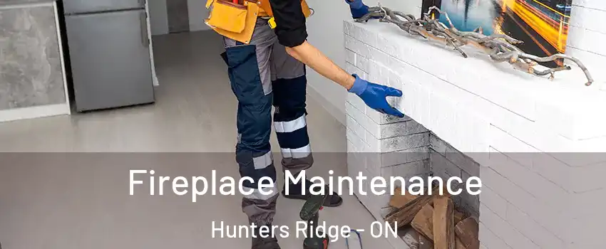 Fireplace Maintenance Hunters Ridge - ON