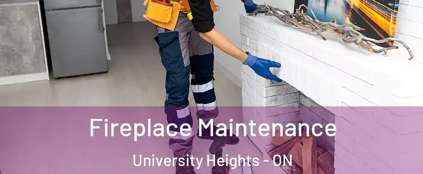 Fireplace Maintenance University Heights - ON