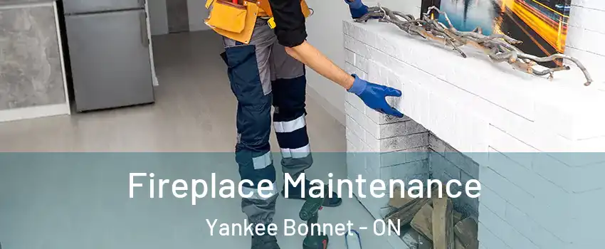  Fireplace Maintenance Yankee Bonnet - ON
