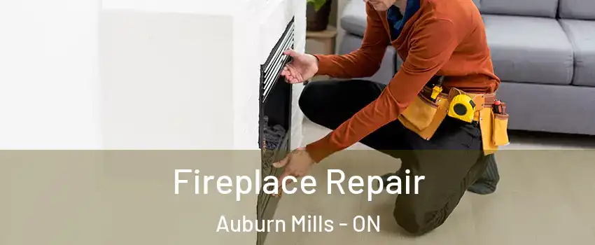 Fireplace Repair Auburn Mills - ON