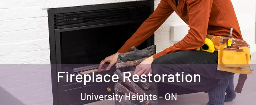 Fireplace Restoration University Heights - ON