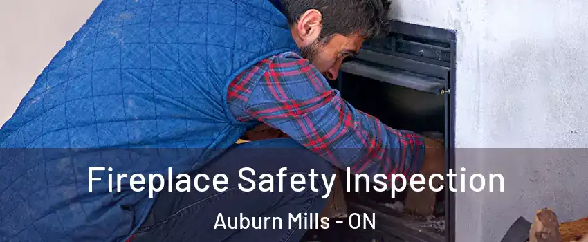  Fireplace Safety Inspection Auburn Mills - ON