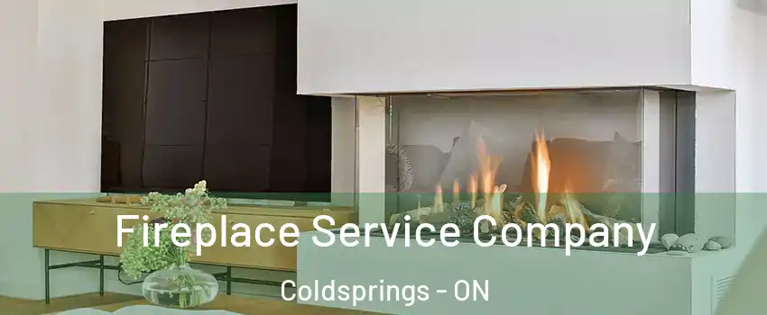  Fireplace Service Company Coldsprings - ON