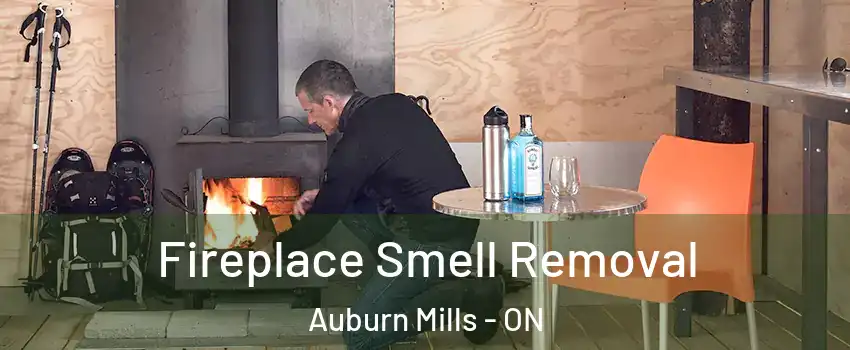 Fireplace Smell Removal Auburn Mills - ON