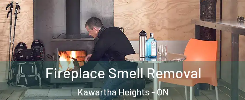  Fireplace Smell Removal Kawartha Heights - ON