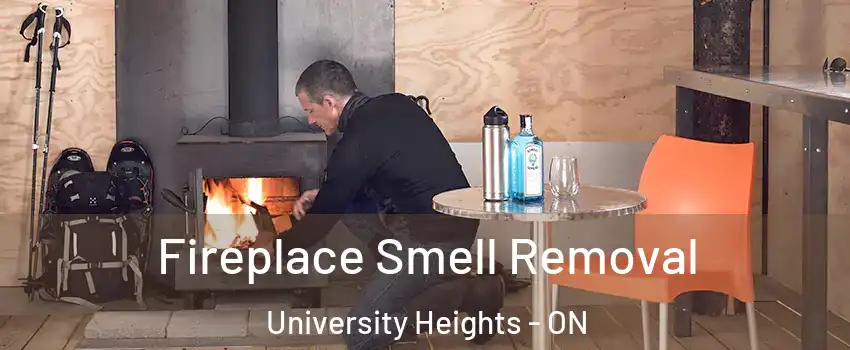 Fireplace Smell Removal University Heights - ON
