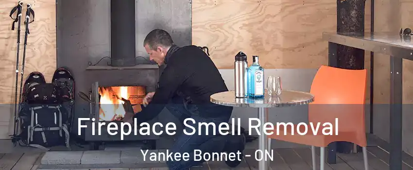 Fireplace Smell Removal Yankee Bonnet - ON