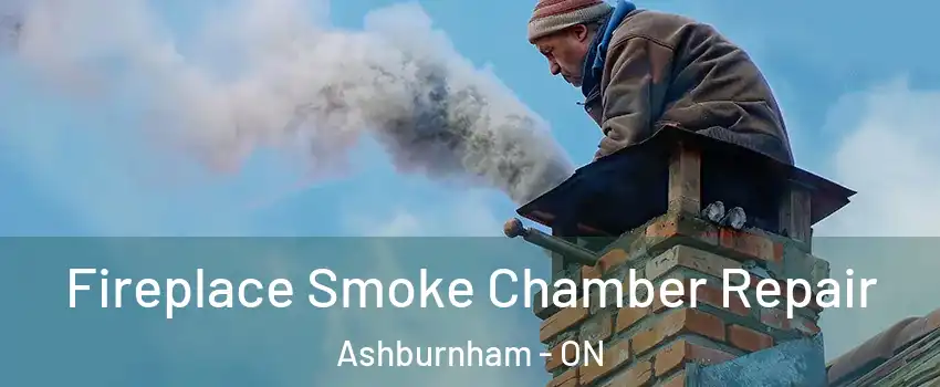  Fireplace Smoke Chamber Repair Ashburnham - ON