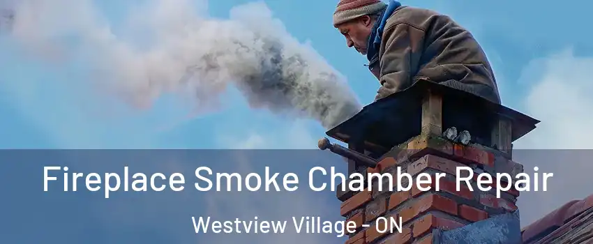  Fireplace Smoke Chamber Repair Westview Village - ON
