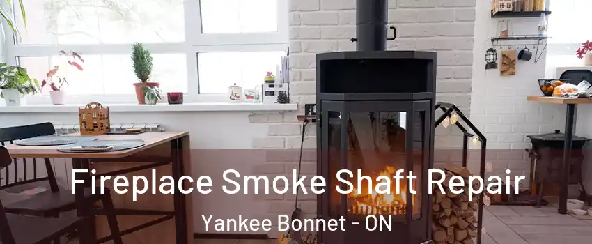  Fireplace Smoke Shaft Repair Yankee Bonnet - ON
