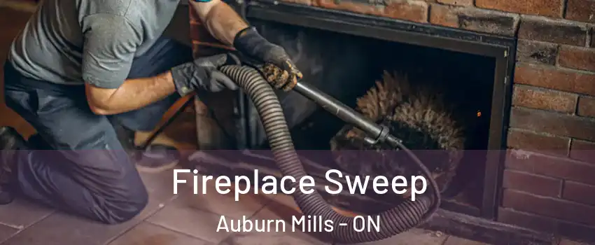 Fireplace Sweep Auburn Mills - ON