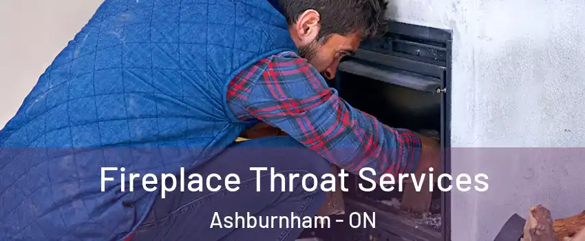  Fireplace Throat Services Ashburnham - ON