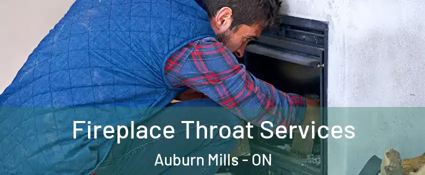  Fireplace Throat Services Auburn Mills - ON