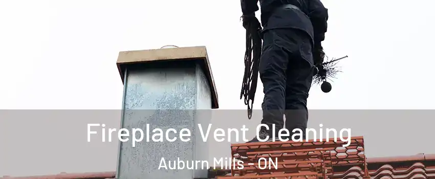  Fireplace Vent Cleaning Auburn Mills - ON
