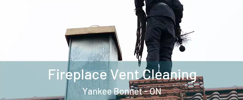  Fireplace Vent Cleaning Yankee Bonnet - ON