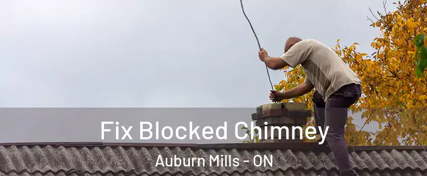 Fix Blocked Chimney Auburn Mills - ON