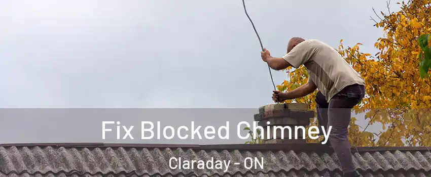  Fix Blocked Chimney Claraday - ON