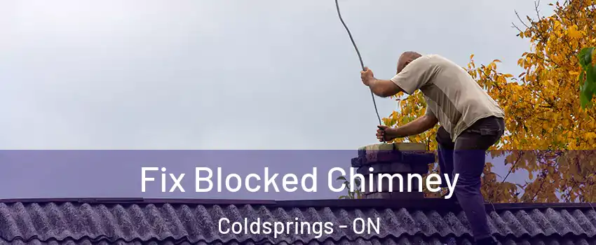 Fix Blocked Chimney Coldsprings - ON