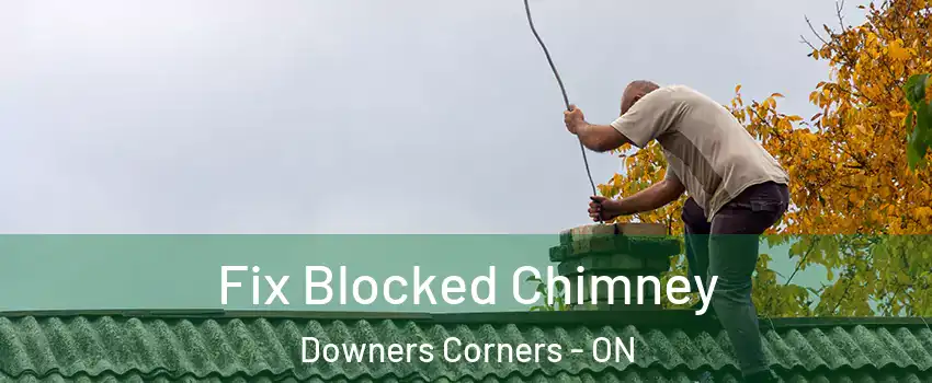  Fix Blocked Chimney Downers Corners - ON