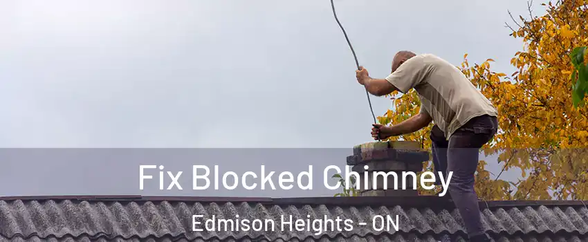 Fix Blocked Chimney Edmison Heights - ON