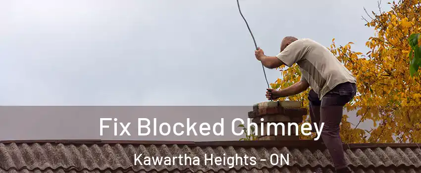  Fix Blocked Chimney Kawartha Heights - ON